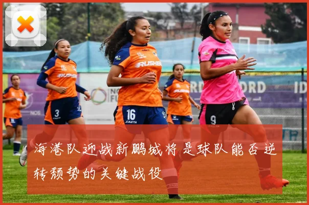 海港队迎战新鹏城将是球队能否逆转颓势的关键战役